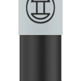 Bosch T25 Torx Impact Bits 55mm