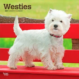 Browntrout West Highland White Terriers Månadsväggkalender 2027