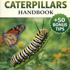 Caterpillars Handbok