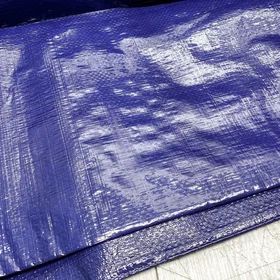Perel Tarp 110g/m² 4x4 m Blå Polyester 110-0404