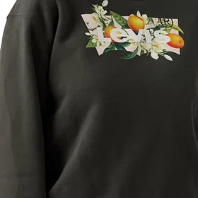 Levi's Everyday Crew Sweatshirt (Dam)