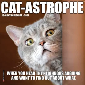Cat-astrophe Mini Kalender 2027