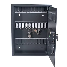 Pavo Armoire à clés 50 clés magnétique noir