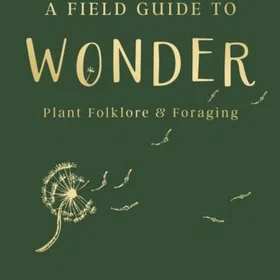 Field Guide to Wonder Häftad