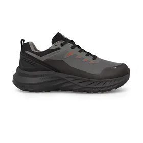 Paredes LT25555-GR-41 (Herr)