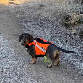 Kardog Sulo GPS Väst