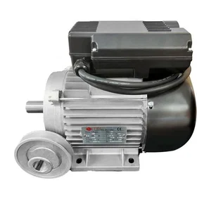 Domac Moteur Électrique 3CV/230V avec poulie