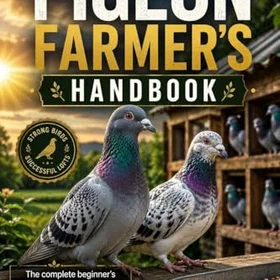 Pigeon Handbook