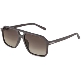 Fila SFIF14 Polarized