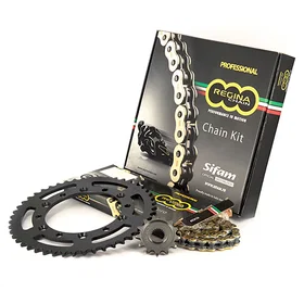 Regina Natural Transmission Kit 95t 95T09557-REG530ZRT