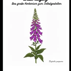 WILDE Eleganz – Das große Herbarium zum Selbstgestalten Färgläggningsbok