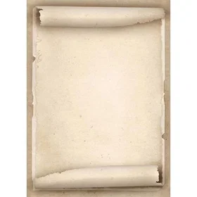Apli Papier spécial parchemin dark 90g(20)