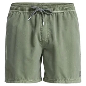 Quiksilver Everyday Surfwash Volley Badshorts (Herr)