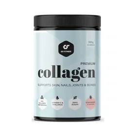 GoFitness Premium Protein 300g
