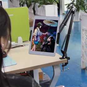 24 Flex Tablet Arm Mount