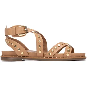 Carmela 16239304 (Dame)