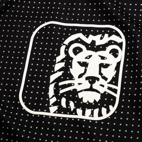 Nike Nederländerna 2025 Hemmaplan Authentic Matchtröja (Dam)