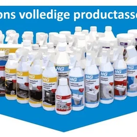 HG Détachant Spray Pré-Lavage Puissant 500 ml