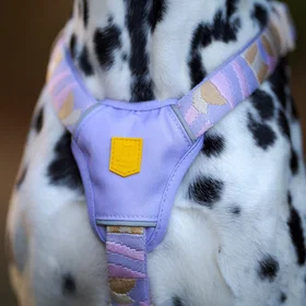 Woolly Wolf Sunshower Harness L