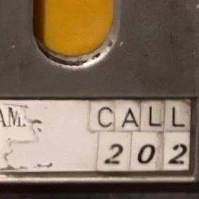 DALI 202