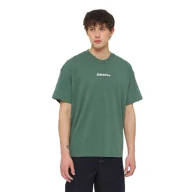 Dickies Enterprise Kortärmad T-shirt (Herr)