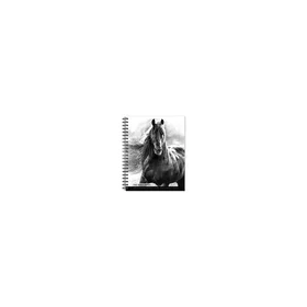 Browntrout The Noble The Portrait Series Engagement Diary 2026