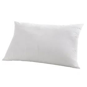 Abeil Oreiller 45x70cm 650g