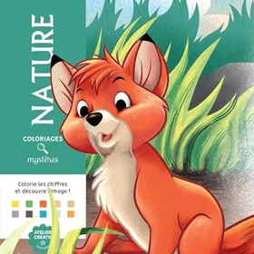 Hachette Heroes Nature Disney Coloriages Mystères