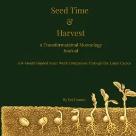 Transformational Månologijournal