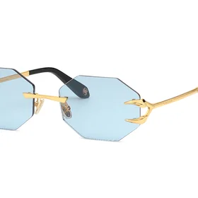 Roberto Cavalli SRC005 Photochromic
