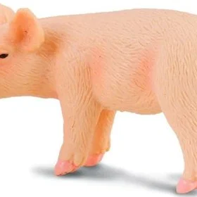 Collecta Standing Pig