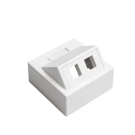 Leviton Seinälaatikko 2 X keystone valkoinen