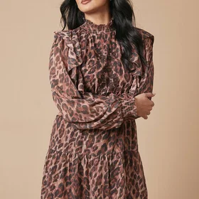 Oasis Animal Print Embroidered Dobby Chiffon Mini Dress