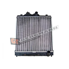 GT-BERGMANN Motorradiator GT10-099