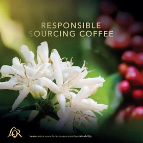 LOR Onyx Dark Roast 500g (Whole Beans)