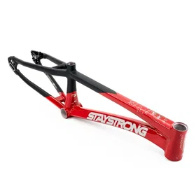 Stay Strong For Life V5 2025 Frame