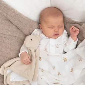 Livly Teddy Tay Swaddle