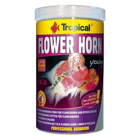 Tropical Flower Horn