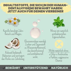 Noms+ Enzymodent Aktiv Tandkräm Mint Kamomill 75ml