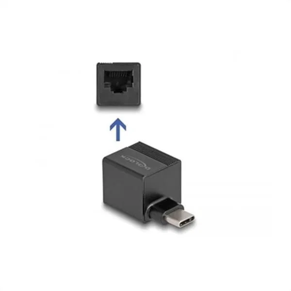 DeLock 66462 USB Type-C Gigabit LAN Mini Adapter