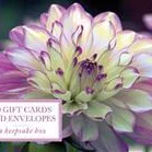 Tin Box Of 20 Gift Cards And Envelopes: Dahlia