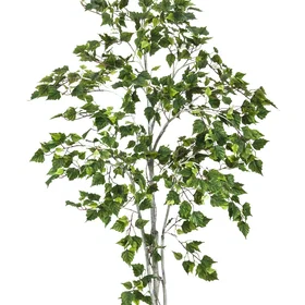 Europalms Bjørketre 180cm Grønn 82505231
