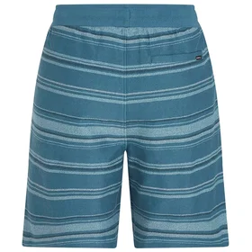 O'Neill Bavaro Sweat Shorts (Herr)
