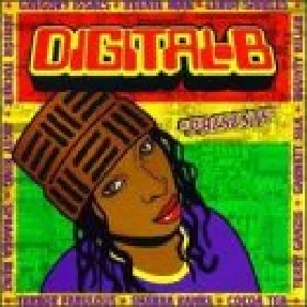 Bilora Digital B Profie Line Standard