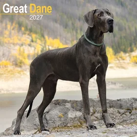 Avonside Publishing Ltd Great Dane Veggkalender 2027