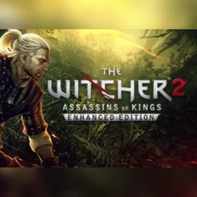The Witcher 2 (PC)