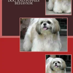 Lulu.com Book