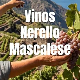 Vinos Nerello Mascalese