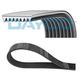 Dayco Multi-V reim