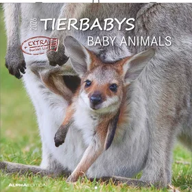 Alpha Baby Animals Wall Calendar 2026 30x30cm